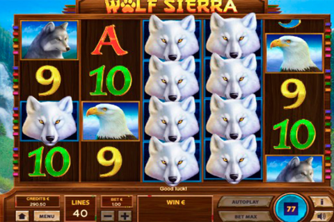 wolf sierra tom horn
